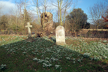 Death and rebirth February 2012